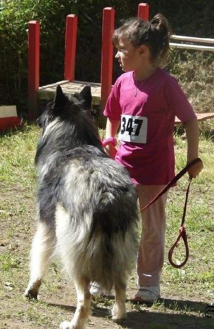 de la closerie de yenda - GIANGO Champion régional d' Agility