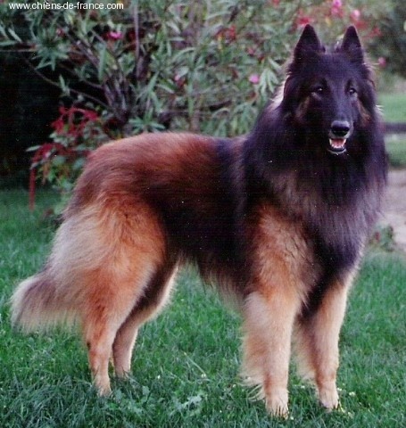 Sr  jahen de la closerie de yenda