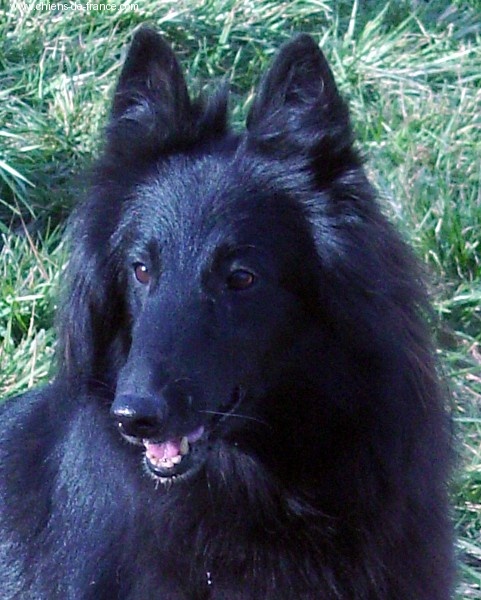 Nahila -neith de la closerie de yenda