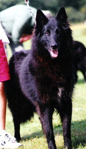 CH. RE-H'oharra de la closerie de yenda