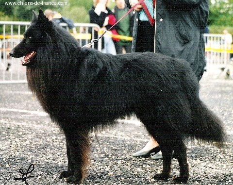 Sr lardy de la closerie de yenda